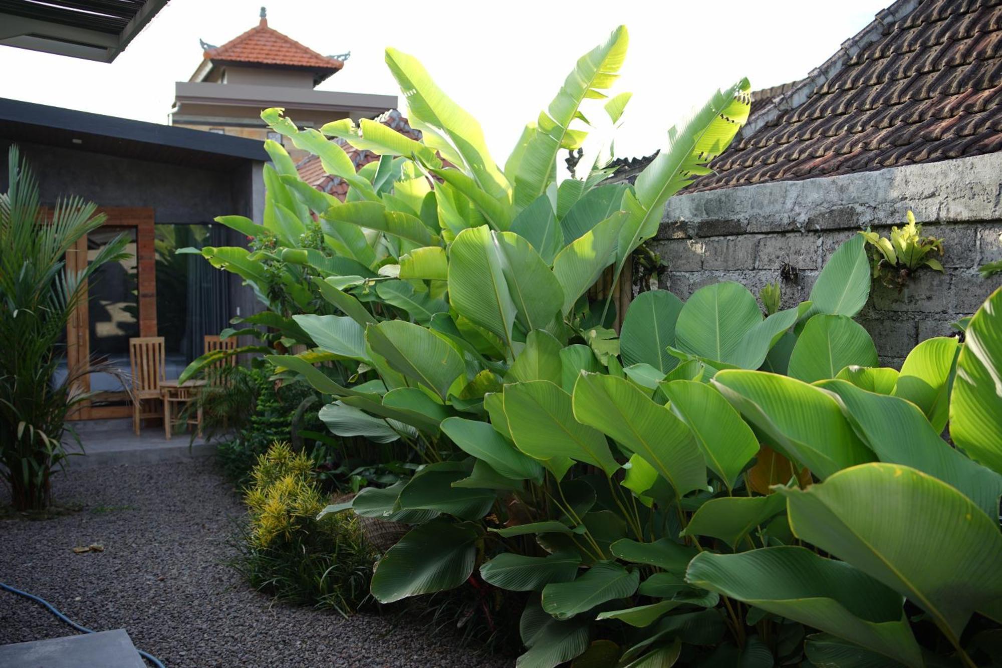 Dedeane Ubud Hotel Екстериор снимка